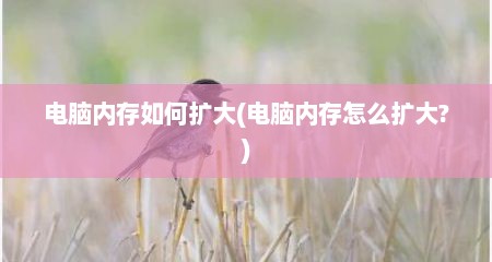 电脑内存如何扩大(电脑内存怎么扩大?)