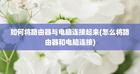 如何将路由器与电脑连接起来(怎么将路由器和电脑连接)