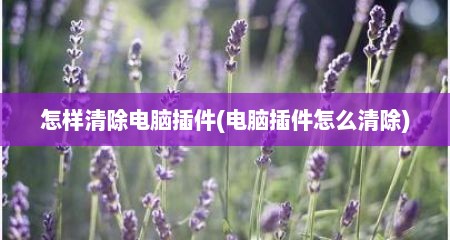怎样清除电脑插件(电脑插件怎么清除)