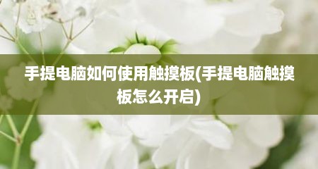 手提电脑如何使用触摸板(手提电脑触摸板怎么开启)