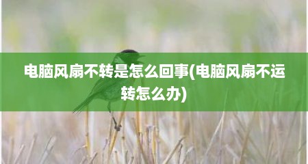 电脑风扇不转是怎么回事(电脑风扇不运转怎么办)