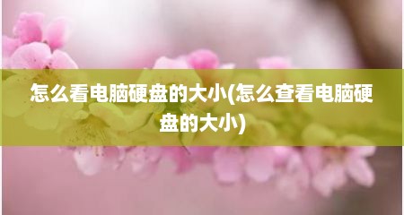 怎么看电脑硬盘的大小(怎么查看电脑硬盘的大小)