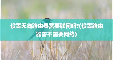 设置无线路由器需要联网吗?(设置路由器需不需要网络)