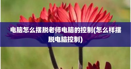 电脑怎么摆脱老师电脑的控制(怎么样摆脱电脑控制)