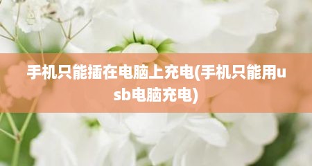 手机只能插在电脑上充电(手机只能用usb电脑充电)