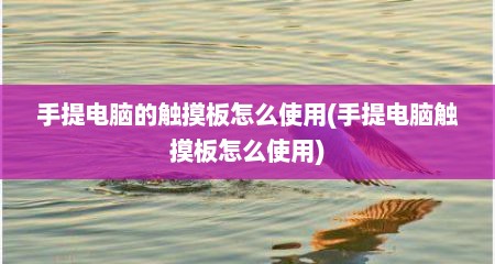 手提电脑的触摸板怎么使用(手提电脑触摸板怎么使用)