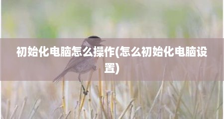 初始化电脑怎么操作(怎么初始化电脑设置)