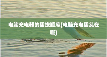 电脑充电器的插拔顺序(电脑充电插头在哪)