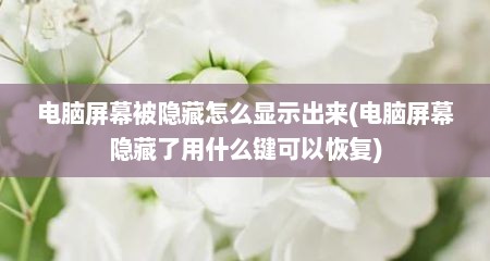 电脑屏幕被隐藏怎么显示出来(电脑屏幕隐藏了用什么键可以恢复)