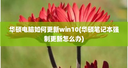 华硕电脑如何更新win10(华硕笔记本强制更新怎么办)