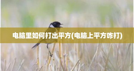 电脑里如何打出平方(电脑上平方咋打)