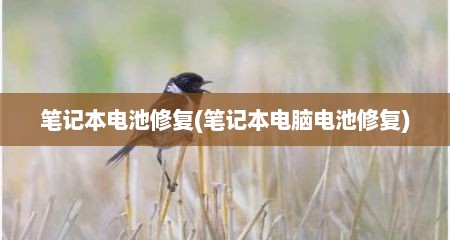 笔记本电池修复(笔记本电脑电池修复)