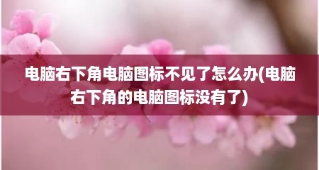 电脑右下角电脑图标不见了怎么办(电脑右下角的电脑图标没有了)