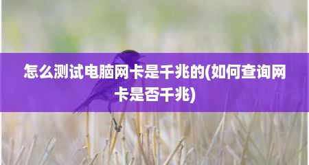 怎么测试电脑网卡是千兆的(如何查询网卡是否千兆)
