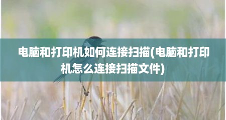 电脑和打印机如何连接扫描(电脑和打印机怎么连接扫描文件)
