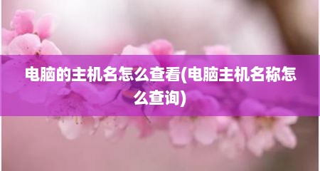 电脑的主机名怎么查看(电脑主机名称怎么查询)