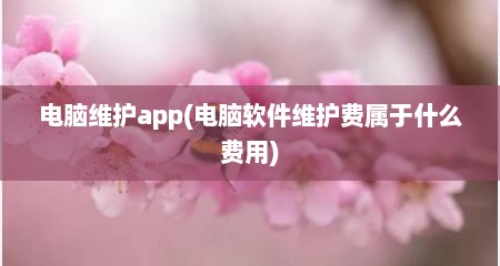 电脑维护app(电脑软件维护费属于什么费用)
