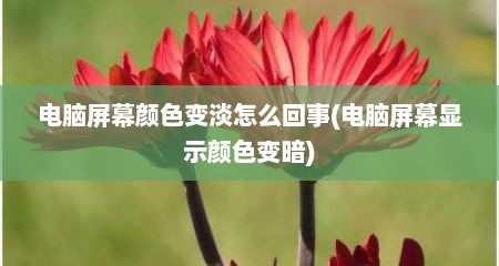 电脑屏幕颜色变淡怎么回事(电脑屏幕显示颜色变暗)
