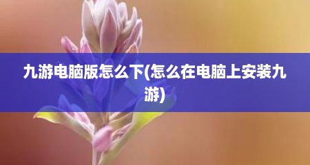 九游电脑版怎么下(怎么在电脑上安装九游)
