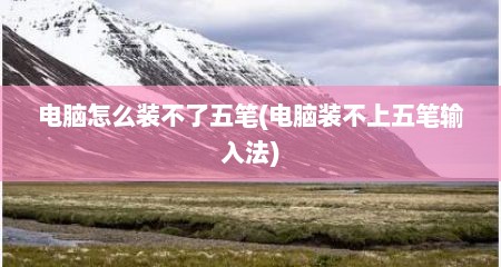 电脑怎么装不了五笔(电脑装不上五笔输入法)