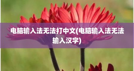 电脑输入法无法打中文(电脑输入法无法输入汉字)