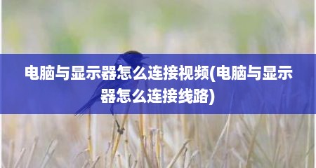 电脑与显示器怎么连接视频(电脑与显示器怎么连接线路)