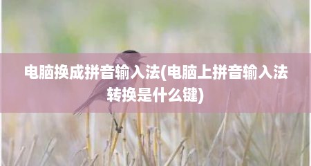 电脑换成拼音输入法(电脑上拼音输入法转换是什么键)
