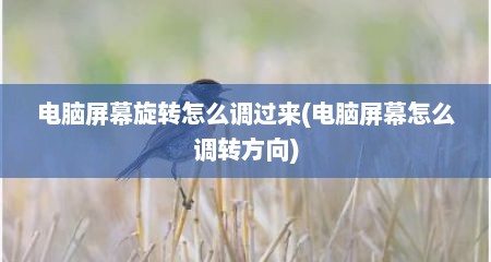 电脑屏幕旋转怎么调过来(电脑屏幕怎么调转方向)