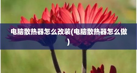 电脑散热器怎么改装(电脑散热器怎么做)