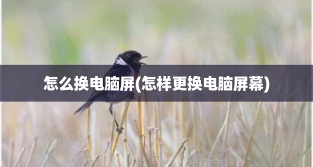 怎么换电脑屏(怎样更换电脑屏幕)