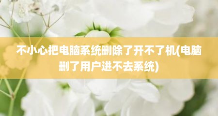 不小心把电脑系统删除了开不了机(电脑删了用户进不去系统)