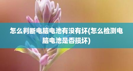 怎么判断电脑电池有没有坏(怎么检测电脑电池是否损坏)