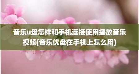 音乐u盘怎样和手机连接使用播放音乐视频(音乐优盘在手机上怎么用)