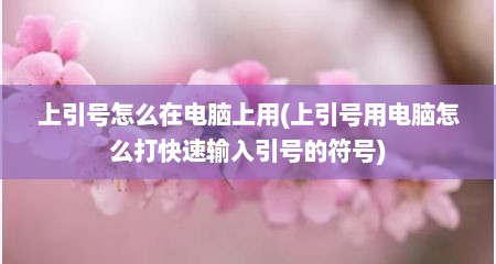 上引号怎么在电脑上用(上引号用电脑怎么打快速输入引号的符号)