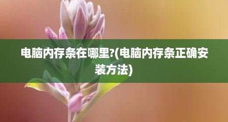 电脑内存条在哪里?(电脑内存条正确安装方法)