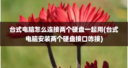 台式电脑怎么连接两个硬盘一起用(台式电脑安装两个硬盘接口咋接)