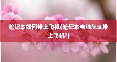笔记本如何带上飞机(笔记本电脑怎么带上飞机?)