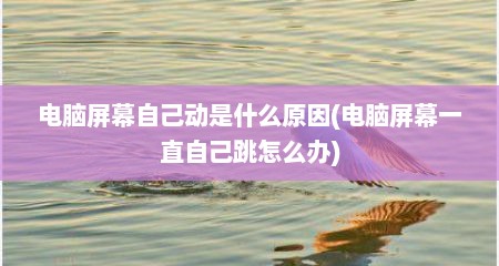 电脑屏幕自己动是什么原因(电脑屏幕一直自己跳怎么办)