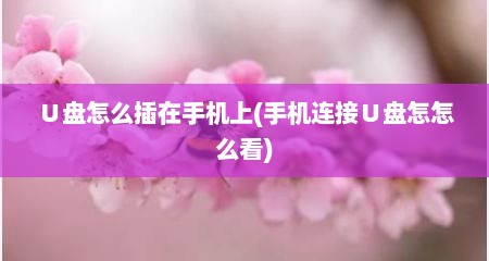∪盘怎么插在手机上(手机连接∪盘怎怎么看)
