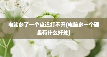 电脑多了一个盘还打不开(电脑多一个硬盘有什么好处)