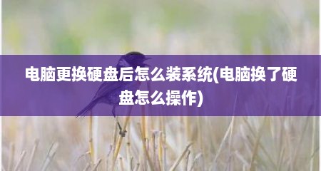 电脑更换硬盘后怎么装系统(电脑换了硬盘怎么操作)