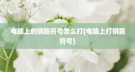 电脑上的钢筋符号怎么打(电脑上打钢筋符号)