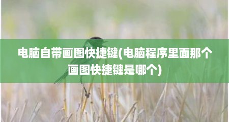 电脑自带画图快捷键(电脑程序里面那个画图快捷键是哪个)