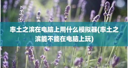 率土之滨在电脑上用什么模拟器(率土之滨能不能在电脑上玩)