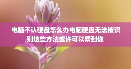 电脑不认硬盘怎么办电脑硬盘无法被识别这些方法或许可以帮到你