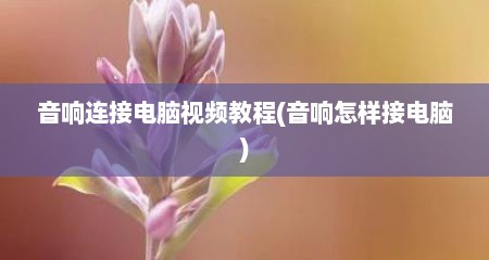 音响连接电脑视频教程(音响怎样接电脑)