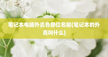 笔记本电脑外壳各部位名称(笔记本的外壳叫什么)
