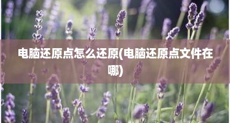 电脑还原点怎么还原(电脑还原点文件在哪)