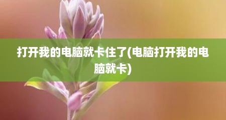 打开我的电脑就卡住了(电脑打开我的电脑就卡)