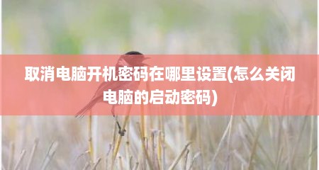 取消电脑开机密码在哪里设置(怎么关闭电脑的启动密码)